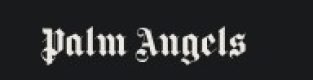 Palm Angels